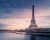 mlm software france